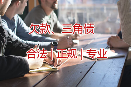 一年内法院对欠款者拘留频次分析